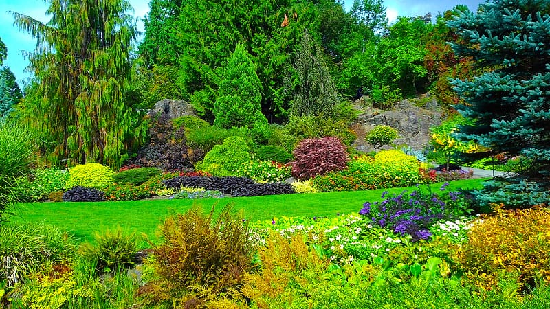 Bush, Canada, Plant, Tree, Garden, , Shrub, Queen Elizabeth Garden, HD wallpaper
