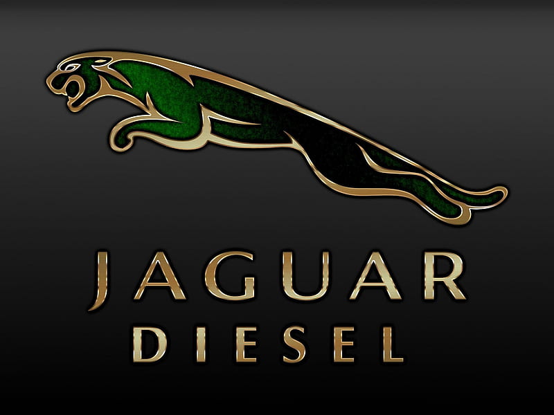 Jaguar / Cheetah / Lion logo design Stock Vector | Adobe Stock