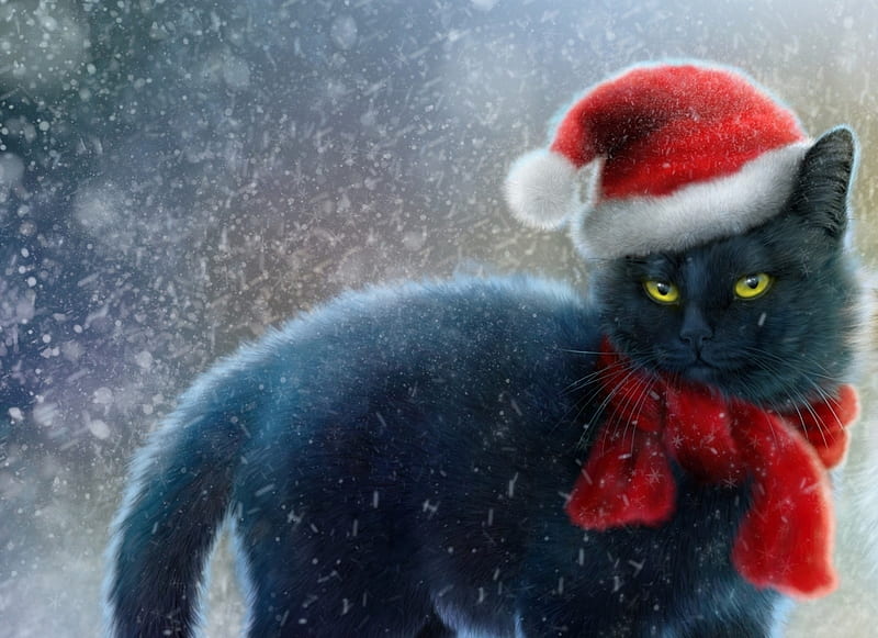 Christmas cat, frumusete, christmas, luminos, craciun, black, cat, animal, hat, elena roslyakova, santa, fantasy, snow, scarf, pisici, pisica, iarna, alenaekaterinburg, winter, HD wallpaper