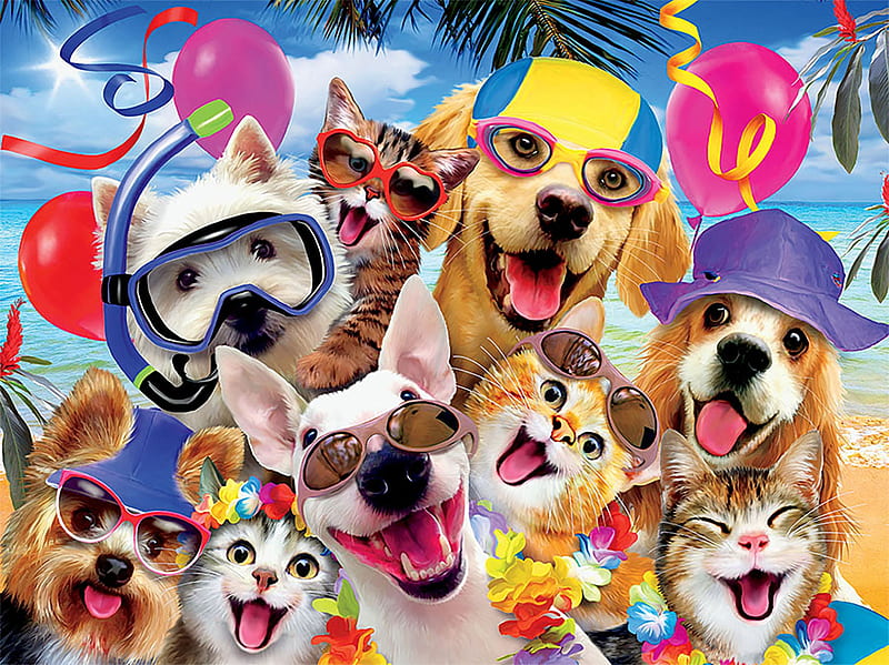 Summer selfie, caine, selfie, cat, animal, summer, funny, kitten, pink, pisica, dog, puppy, blue, HD wallpaper