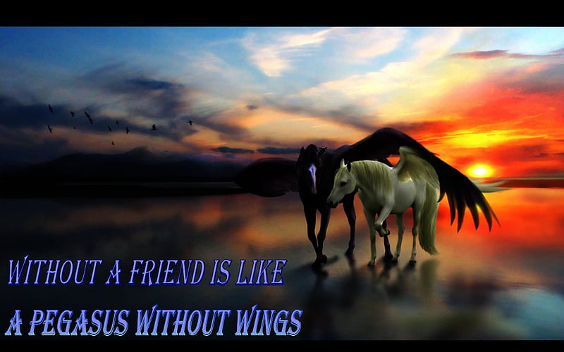 Pegasus, wings, friend, love, quote, hors, sweet, HD wallpaper