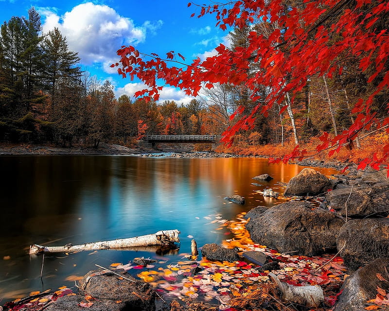 Autumn Scenery, autumn, scenery, HD wallpaper