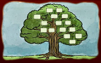 HD wallpaper: family tree sketch, branch, tribe, ancestry, friends, tree  friends | Wallpaper Flare