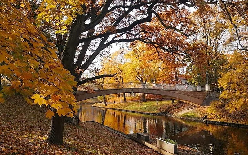 Park in Riga, Latvia, autumn, park, trees, canal, bridge, Latvia, HD wallpaper