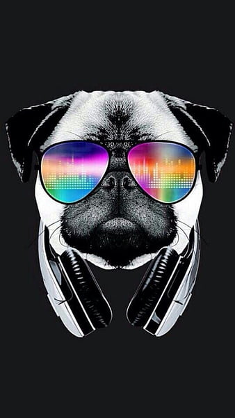 HD wallpaper cool bulldog music goggles aviators animation dog pet pug animal thumbnail