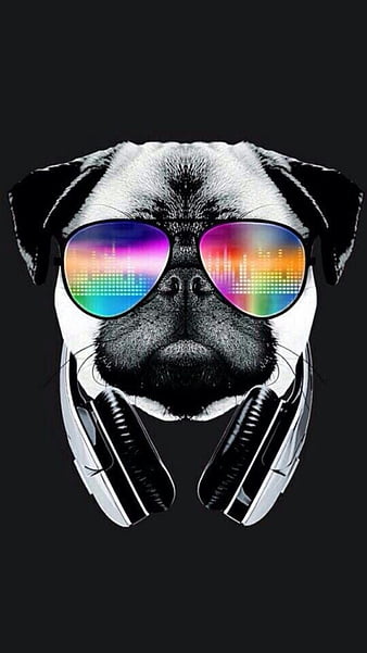 Bulldog Jpg File Of Spanish Bulldogs With Chains In A Black Background  Backgrounds | JPG Free Download - Pikbest