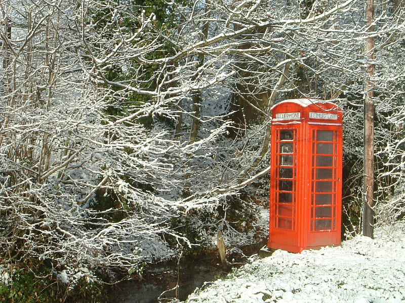 red and white, red, telephone, snow, box, winter, HD wallpaper