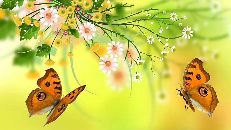 Spring background, pretty, lovely, background, yellow, bonito, butterflies, spring, freshness, daisies, flowers, HD wallpaper