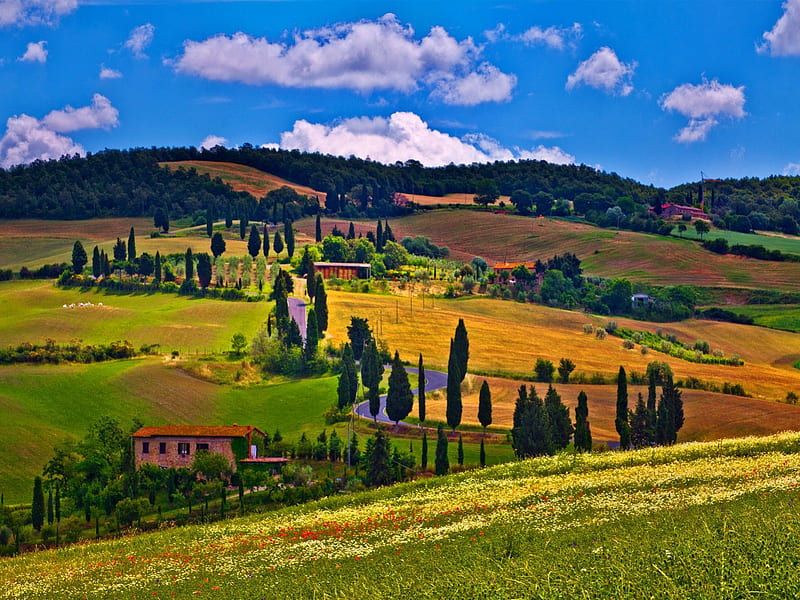 Countryside beauty, colorful, clouds, countryside, mountain, fences, village, beauty, blue, rural, rustic, calmness, houses, country, sky, trees, slope, peaceful, summer, nature, meadow, field, HD wallpaper