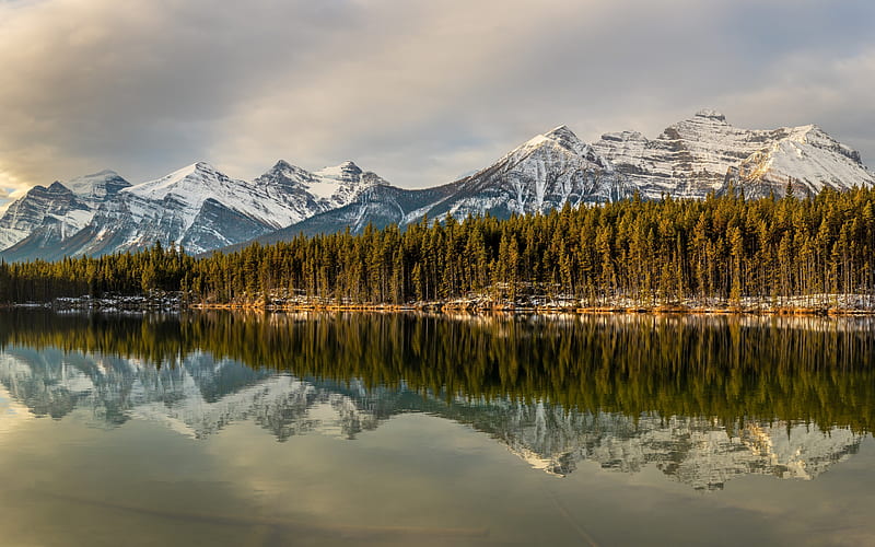 Herbert Lake, Rocky Mountains, evening, sunset, mountain landscape, forest, mountains, Banff National Park, Alberta, Canada, HD wallpaper