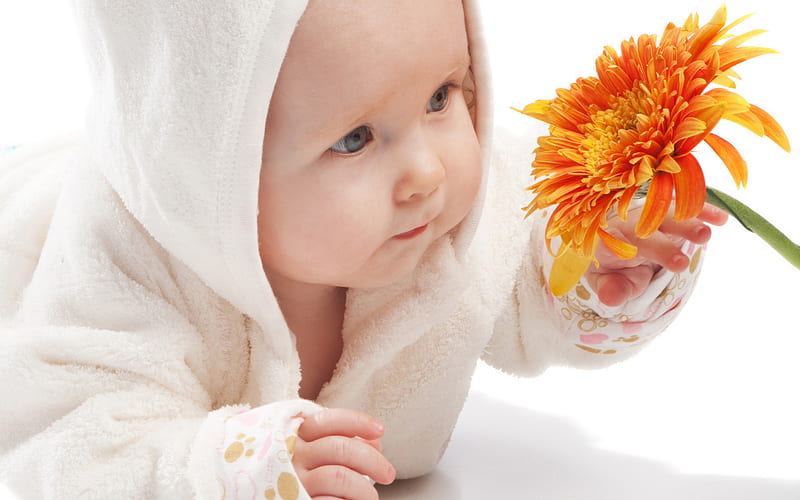 CUTE BABY WITH FLOWER, amazing, 3d, cool, beautiful, hq, HD wallpaper |  Peakpx
