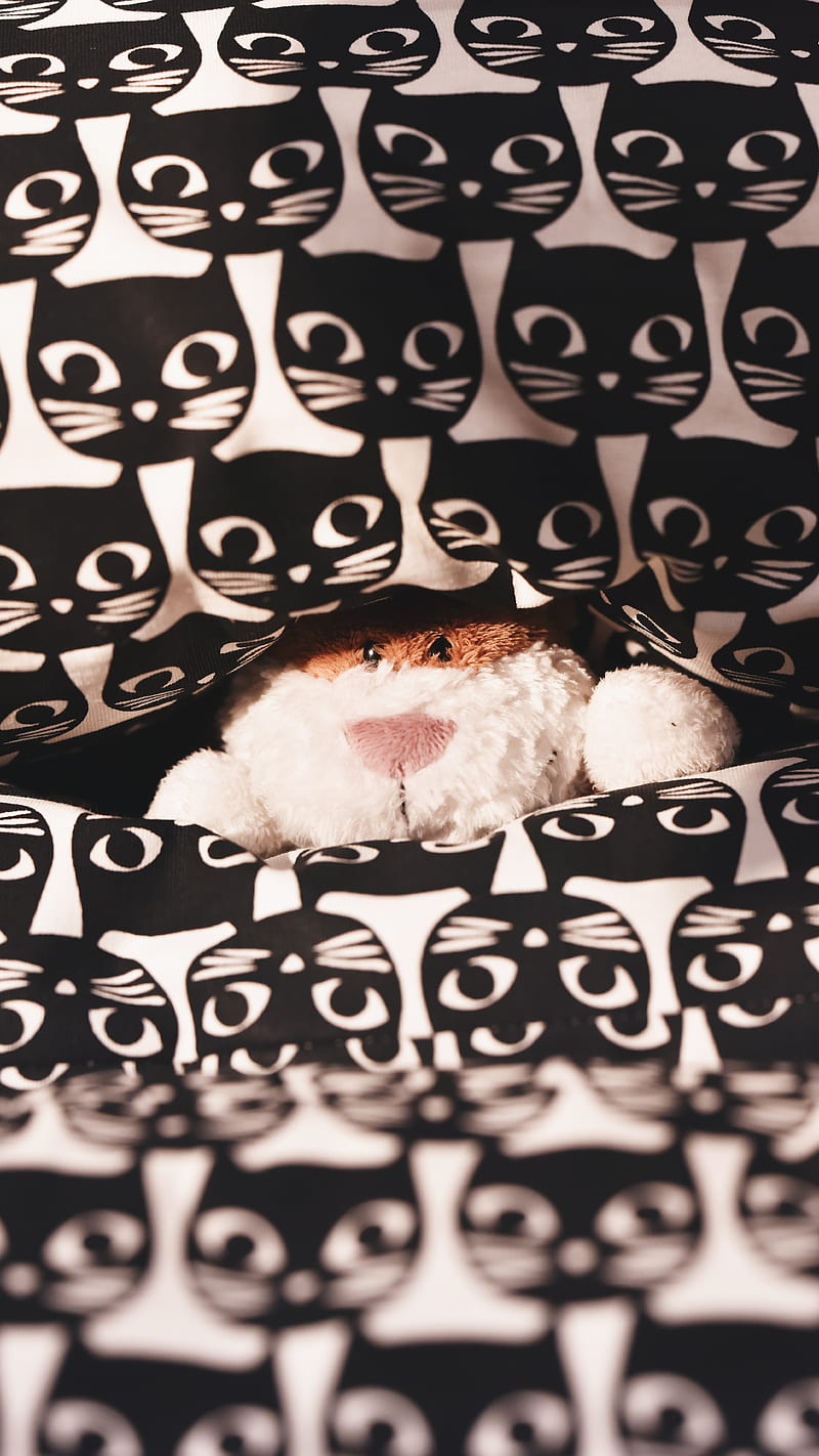 toy, teddy, peeking, pattern, cats, HD phone wallpaper