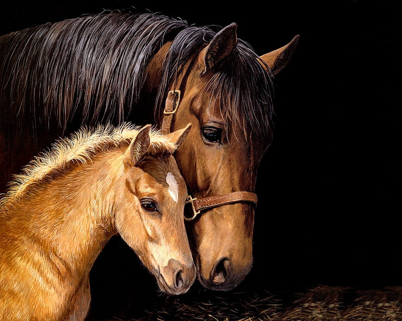 Mare and Foal Horseheads F, art, equine, bonito, foal, horse, artwork, animal, painting, wide screen, mare, HD wallpaper