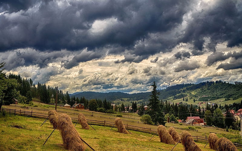 hay, forest, ukraine, carpathians, mountain landscape, bukovel, HD wallpaper