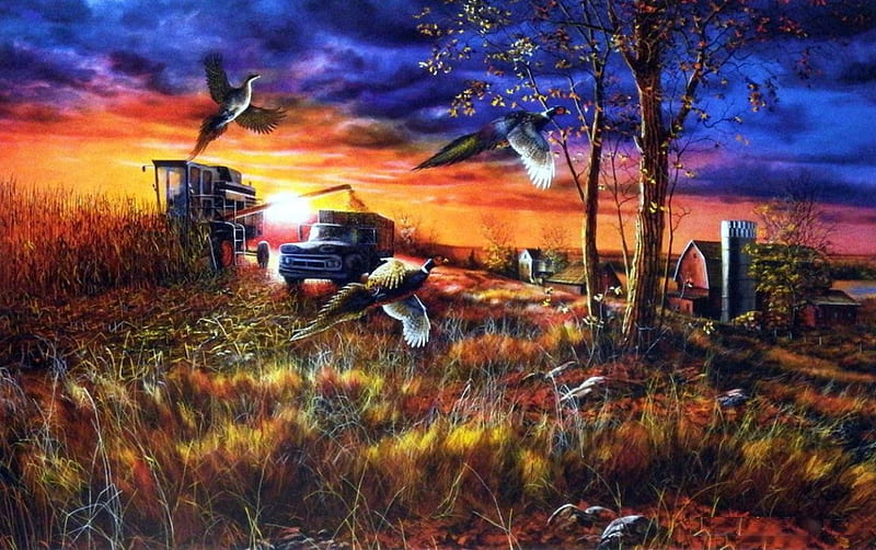 Harvest Ringnecks, sun, colors, sunset, trees, clouds, artwork, barn, painting, field, HD wallpaper