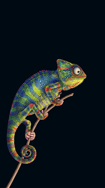Chameleon, animal, black, colorful, colors, iphone, iphone 11, HD phone wallpaper