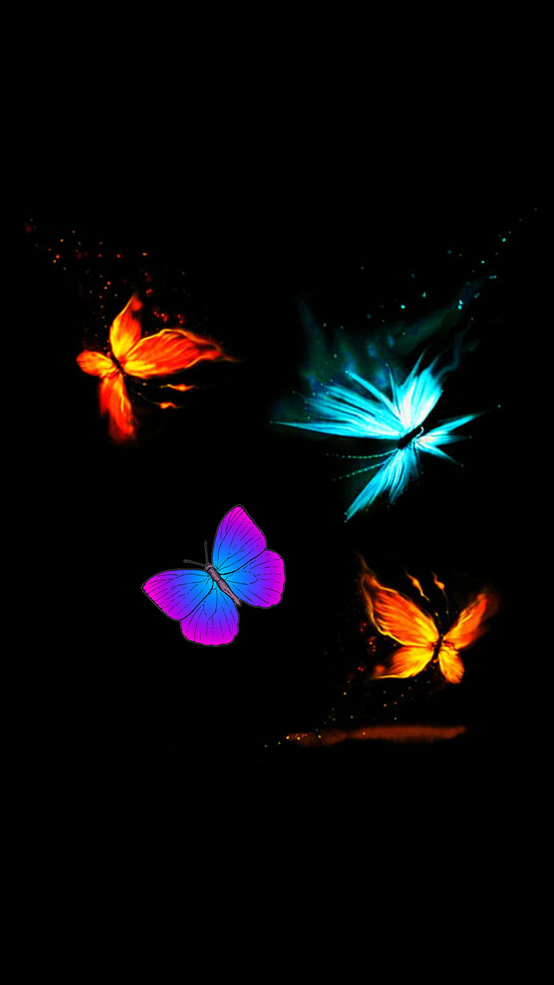 Butterfly, colors, neon, HD phone wallpaper