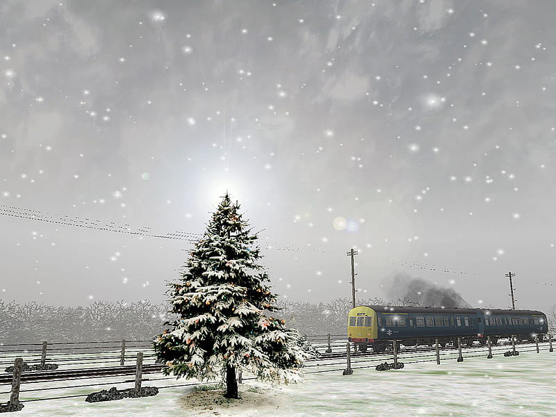 Polar express, trre, forest, holidays, abstract, sky, winter, cold, fantasy, train, snow, ice, polar, white, HD wallpaper