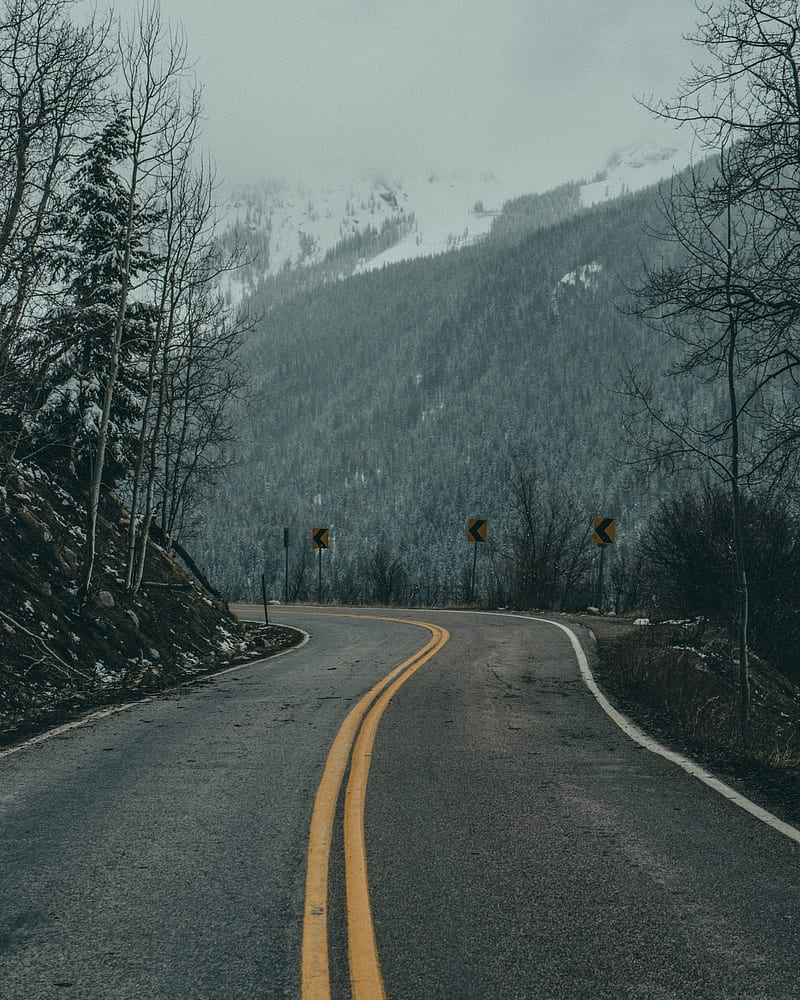 nature, road, trees, snow, HD phone wallpaper