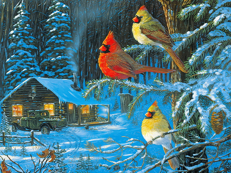 Cardinals cabin fever - detail, fever, winter, forest, art, house, christmas, birds, bonito, cardinals, tree, cabi, evening, night, HD wallpaper