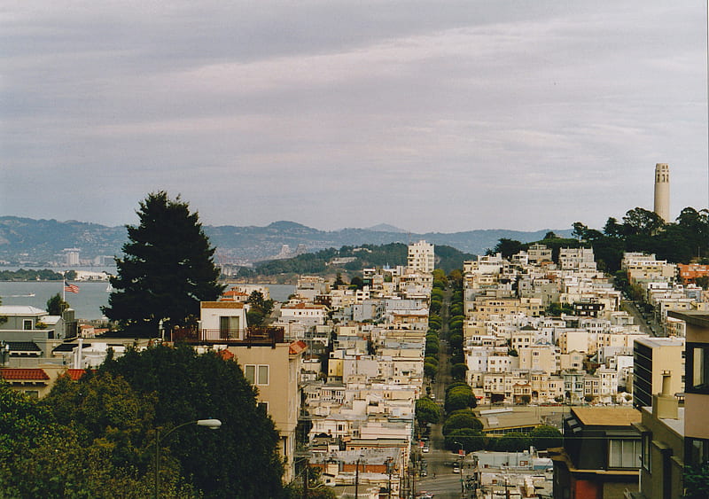 San Francisco - Coit Tower, coit tower, california, usa, san francisco, HD wallpaper