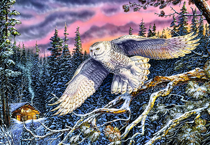 Whisper on the Wind - Owl, art, bonito, illustration, artwork, animal ...