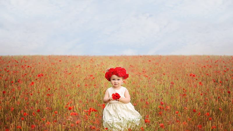 Cute Little Girl Baby Is Standing In Red Common Poppy Flowers Field Wearing White Dress And Red Flowers Wreath Cute, HD wallpaper