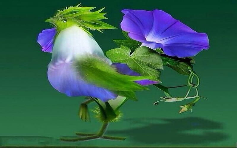 Morning Glory Rooster, bird, morning glory, flower, creative, blue, HD wallpaper