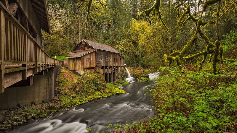 Log cabin in the mountains, Forest, Trees, Greenery, River, Log, Cabin, HD wallpaper