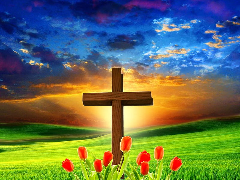 Holy Cross on field, cloud, christianity, grass, religion, sky, christ, jesus, flower, god, field, HD wallpaper