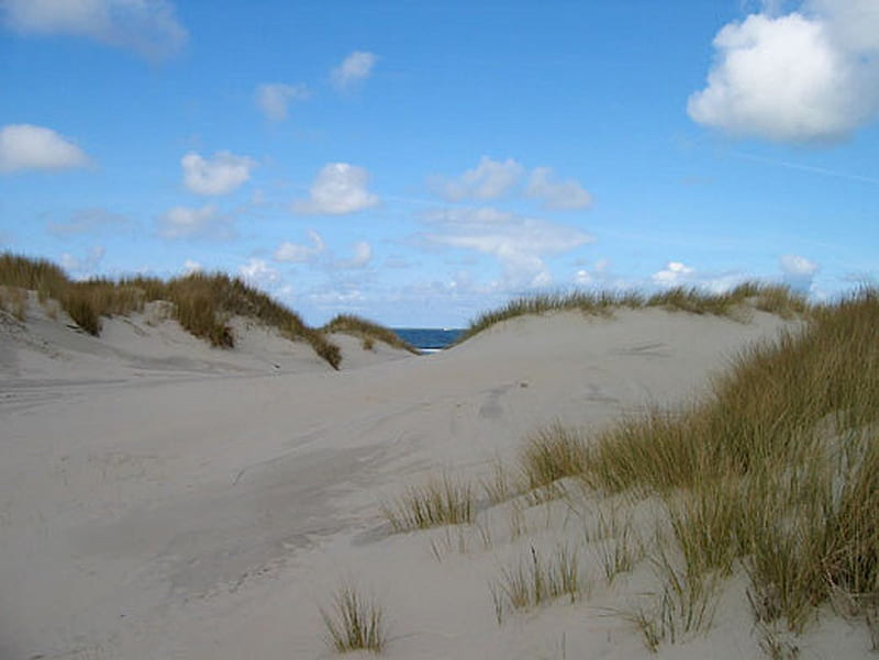 borkum, beach, sea, dune, HD wallpaper