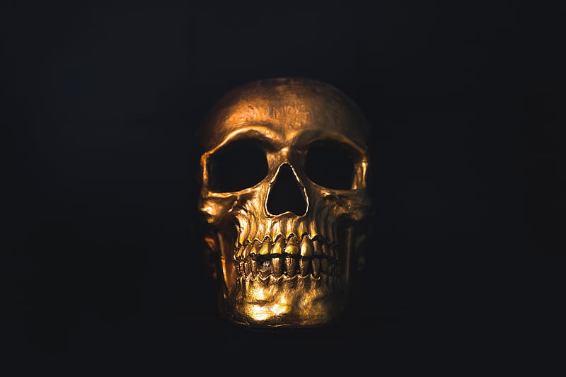 skull, gold, ornament, shine, HD wallpaper