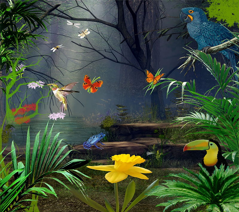 Jungle , bird, birds, flower, flowers, forest, frog, leaf, tree, trees, HD wallpaper