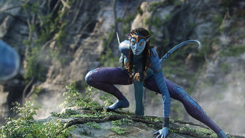 Zoe Saldana from Avatar Movie, HD wallpaper