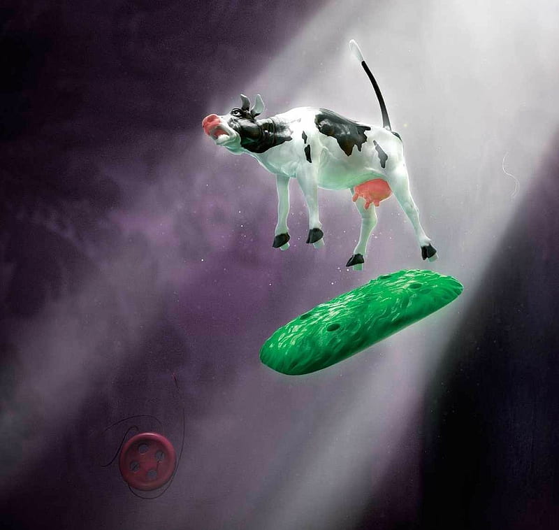 Heeelp!, cow, panasonic, vacuum, animal, button, add, green, purple, funny, commercial, HD wallpaper