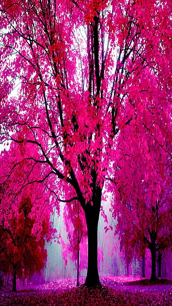 Nice beautiful wallpaper discount