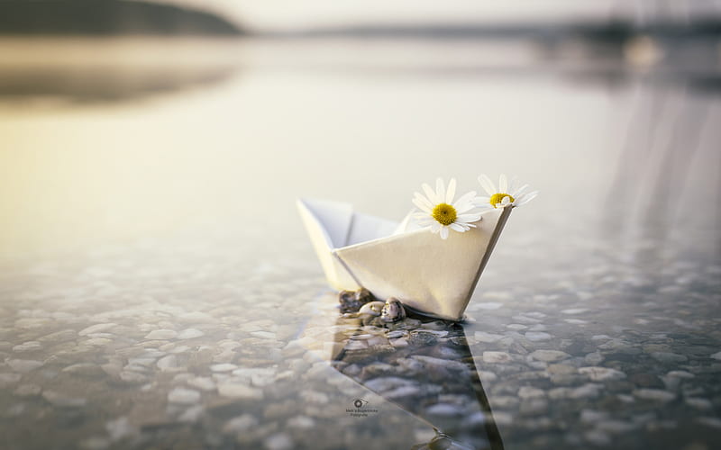 Man Made, Origami, Chamomile, Paper Boat, Reflection, Water, HD wallpaper
