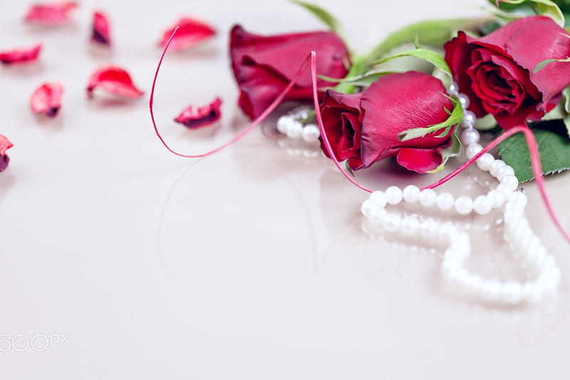 red roses with white pearls, red, concept, holiday, rose, flower, HD wallpaper