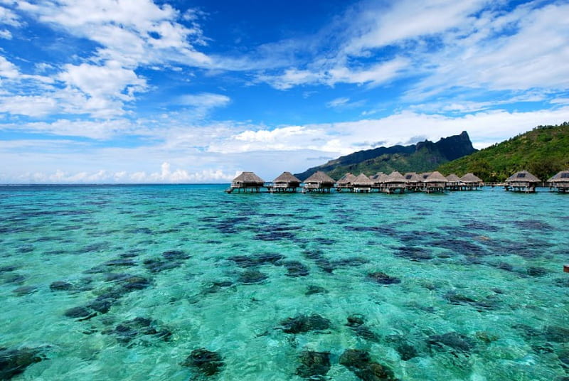 Blue Lagoon and Coral Reef under water bungalows Moorea French Polynesia, moorea, polynesia, reef, french, bonito, sea, atoll, lagoon, bungalows, polynesian, blue, exotic, islands, ocean, pacific, coral, south, water, paradise, island, tahiti, tropical, villas, HD wallpaper