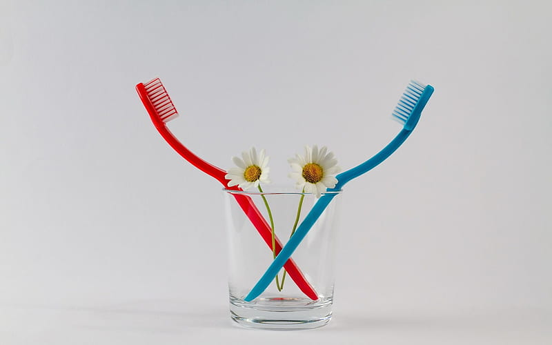 :), daisies, glass, feeling, love, toothbrushes, you and me, HD wallpaper