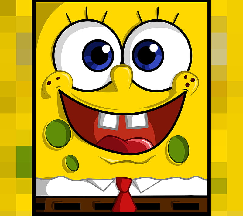 SpongeBob, barbaivan, pants, square, HD wallpaper
