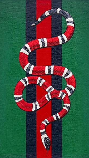 Supreme Gucci Snake Wallpapers on WallpaperDog
