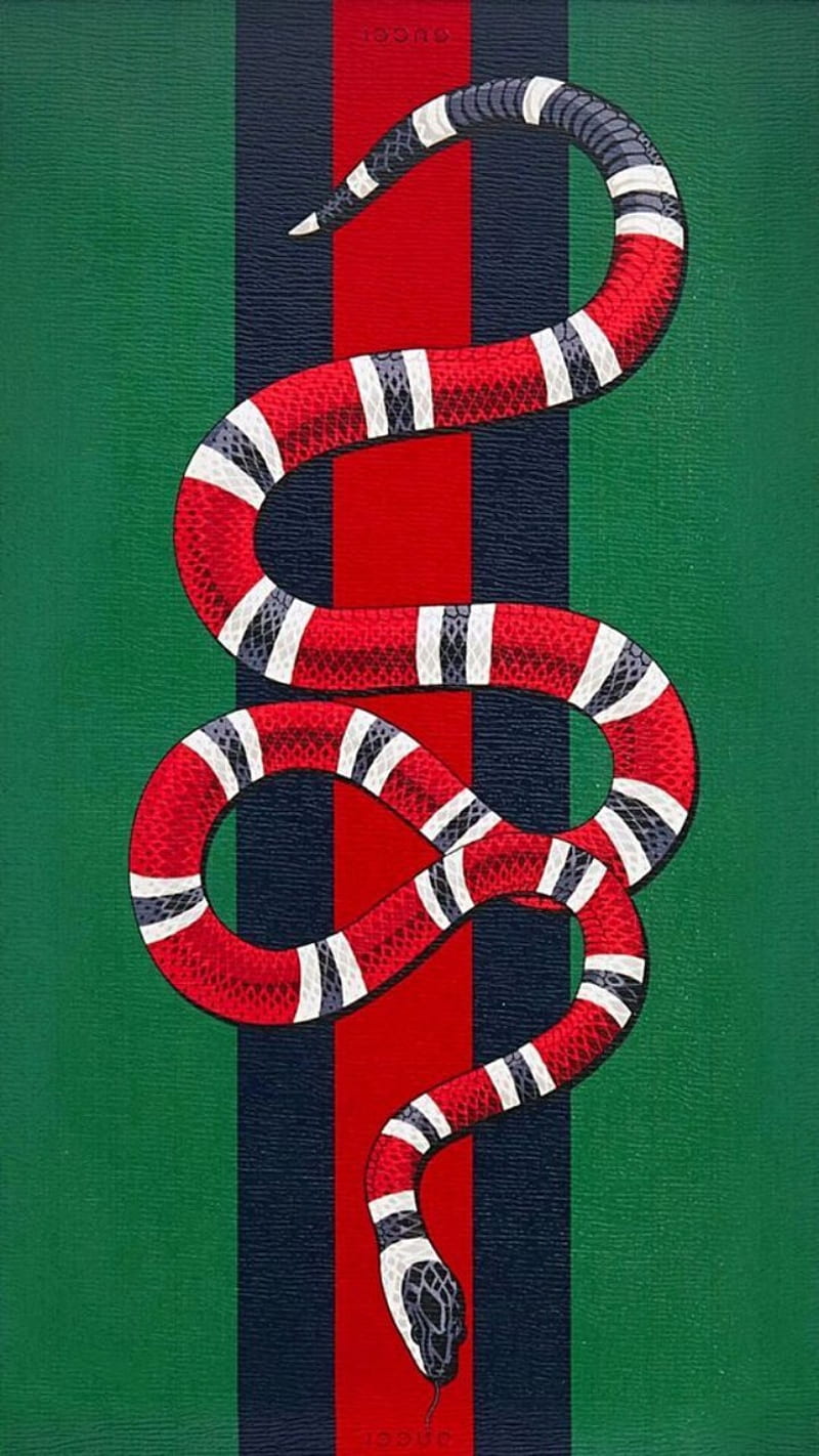 Gucci snake logo, drawings, stripes, water snake, HD phone wallpaper |  Peakpx