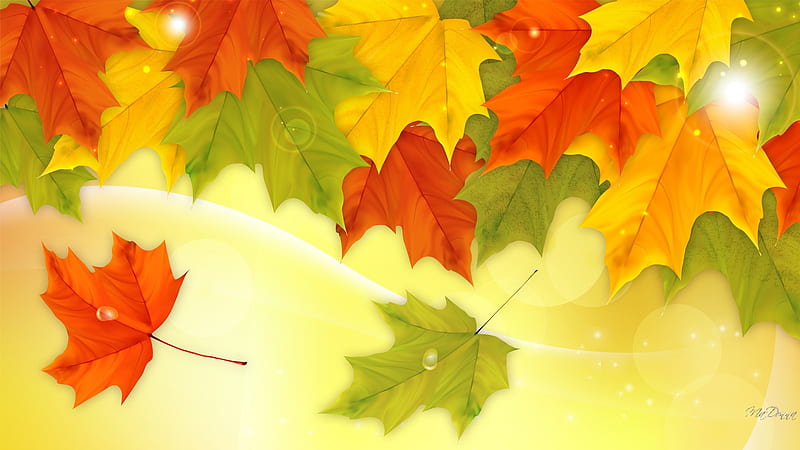 Leaves of Many Colors, Firefox theme, fall, autumn, orange, maple, colors, leaves, tree, bright, nature, season, HD wallpaper