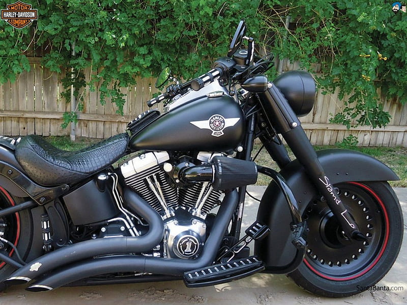 Harley Davidson, bike, harley-davidson, chopper, motorcycle, HD wallpaper |  Peakpx