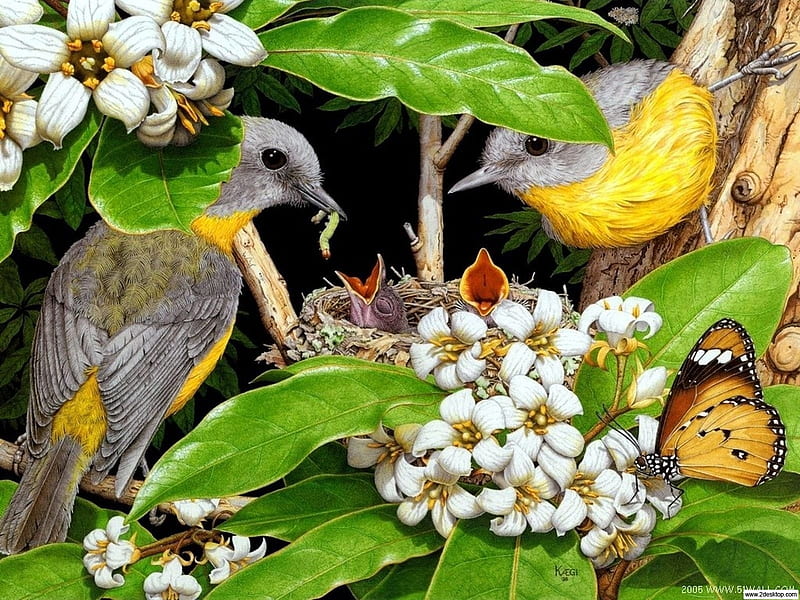 Birds, chicks, art, yellow, rosemary millette, cute, green, bird, nest, butterfly, pasari, painting, flower, pictura, HD wallpaper