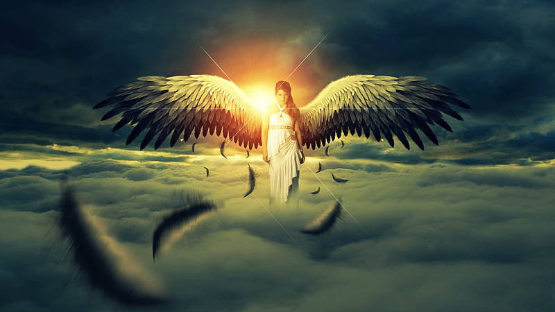 Angel, wings, cloud, sun, orange, luminos, sky, inger, fantasy, girl, feather, blue, HD wallpaper