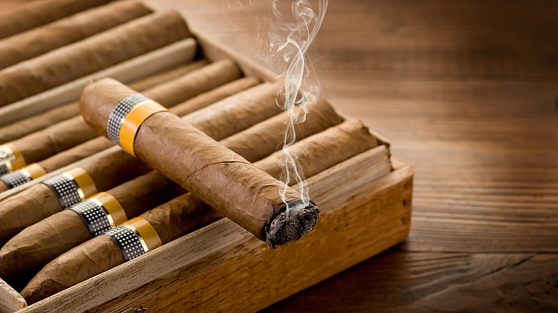 Cuban Cohiba Cigars, Cuban, smoking, Cohiba, Cigars, HD wallpaper