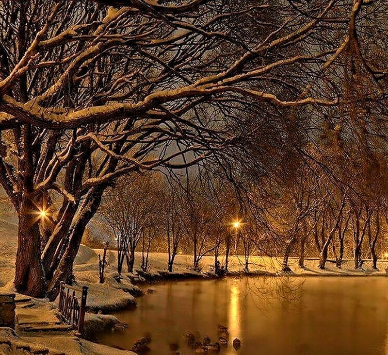 Winter Night, Lake, Snow, Night, Winter, HD wallpaper