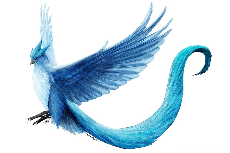 Fantasy bird, frumusete, fantasy, wings, bird, luminos, jamaal raoof, white, blue, articuno, HD wallpaper